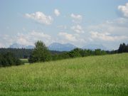 Nature (9).JPG